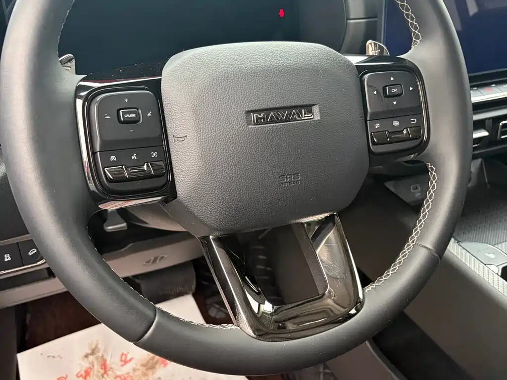 Haval Big Dog PLUS — миниатюра 11