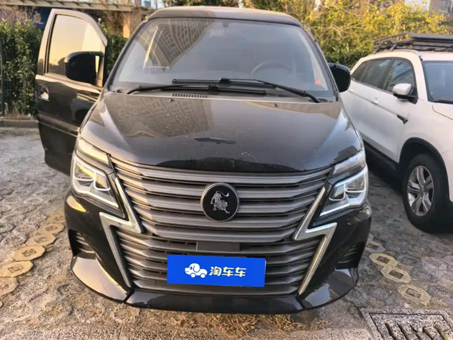DONGFENG LINGZHI