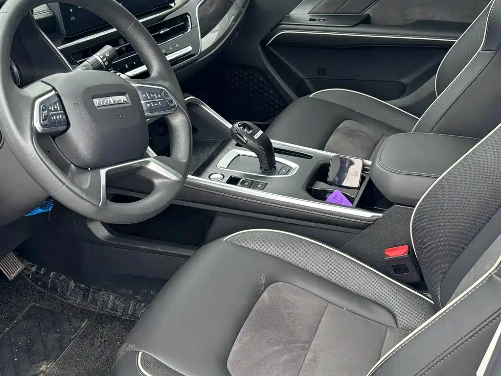 Haval H6 — миниатюра 7