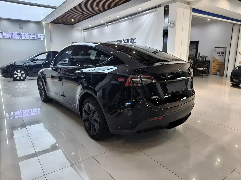 Tesla Model Y — миниатюра 6