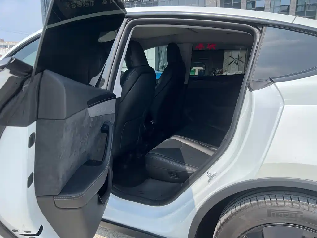Tesla Model Y — миниатюра 6