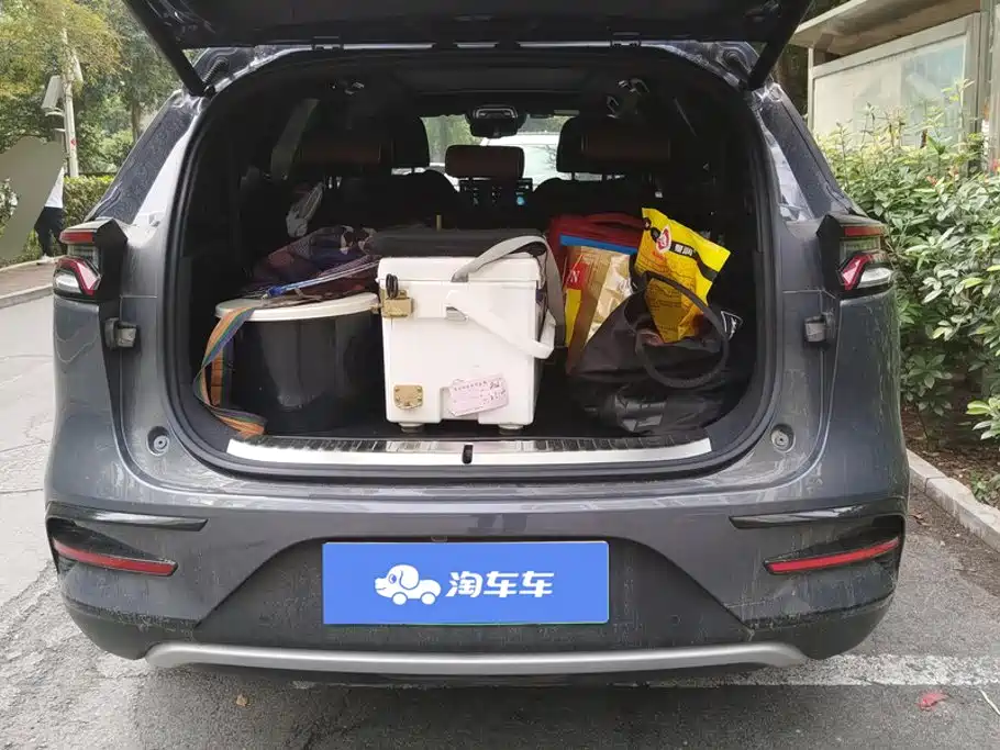 BYD Tang New Energy — миниатюра 4