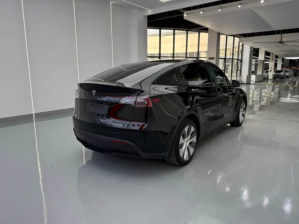 Tesla Model Y — миниатюра 14