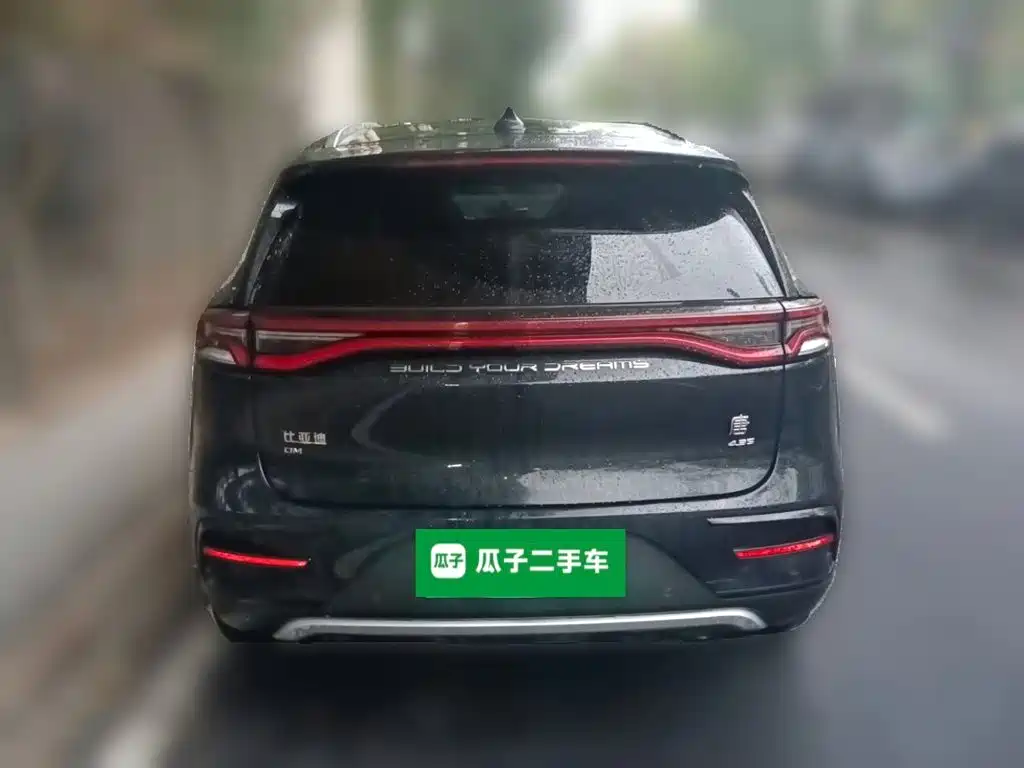 BYD Tang New Energy — миниатюра 5