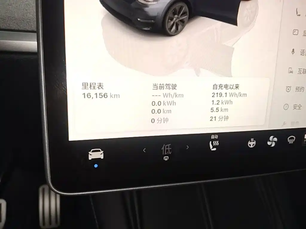 Tesla Model Y — миниатюра 12