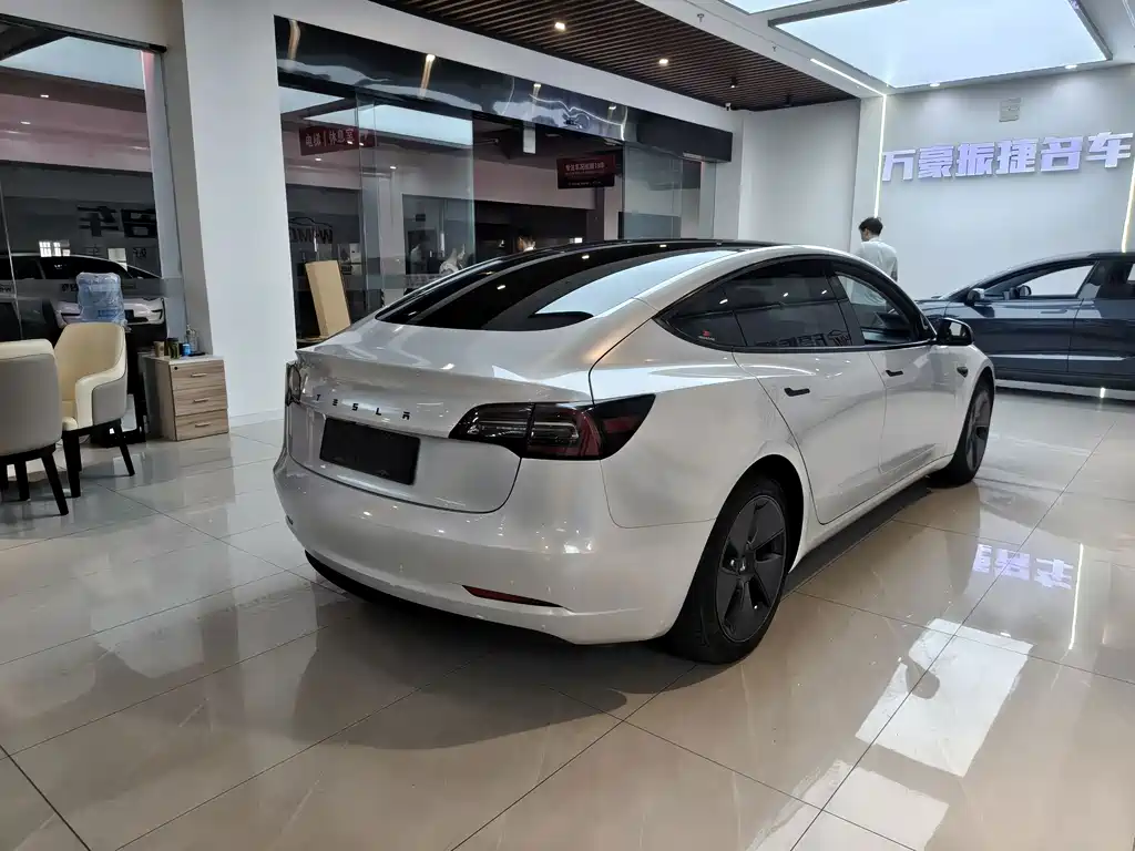 Tesla Model 3 — миниатюра 4