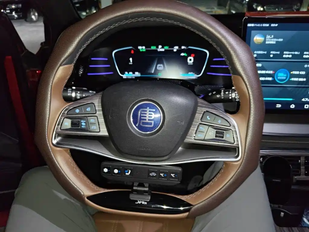 BYD Tang New Energy — миниатюра 11