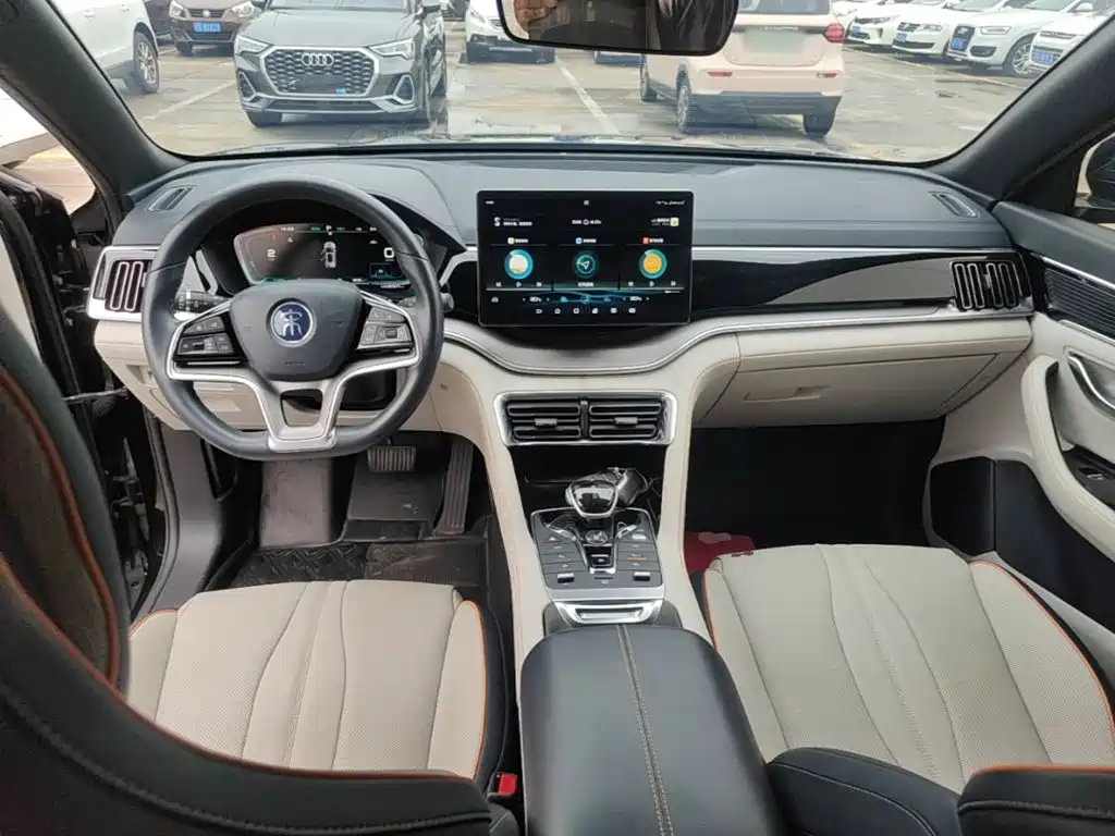 BYD PLUS New Energy — миниатюра 10
