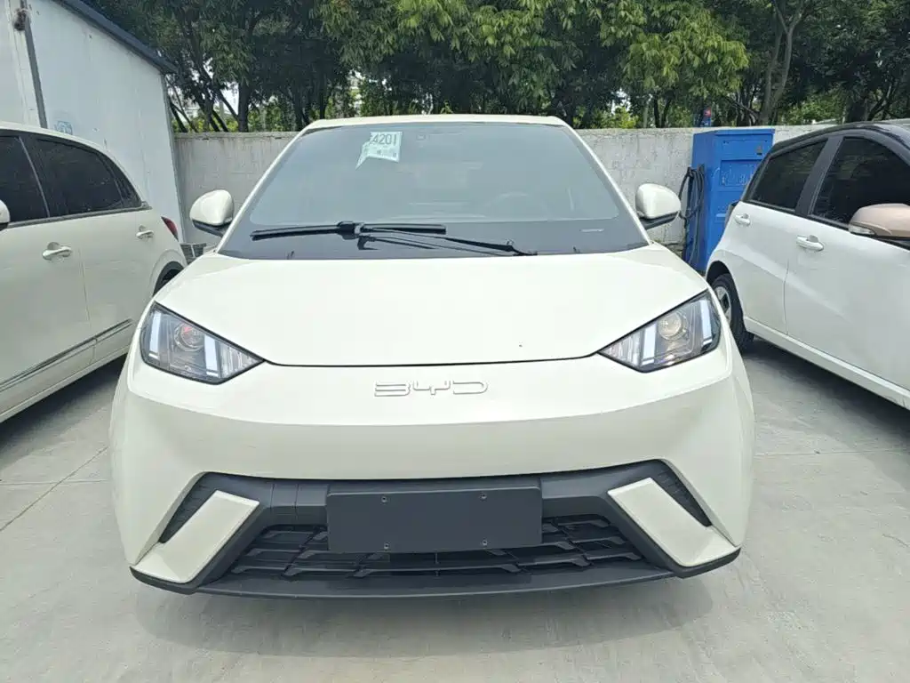 BYD Seagull