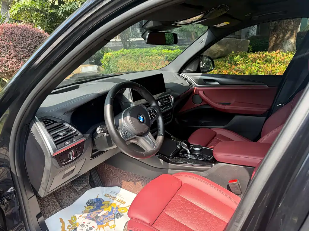 BMW X3 — миниатюра 5
