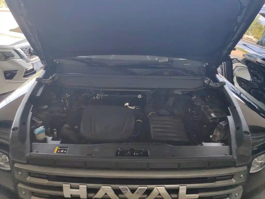 Haval Menglong New Energy — миниатюра 20