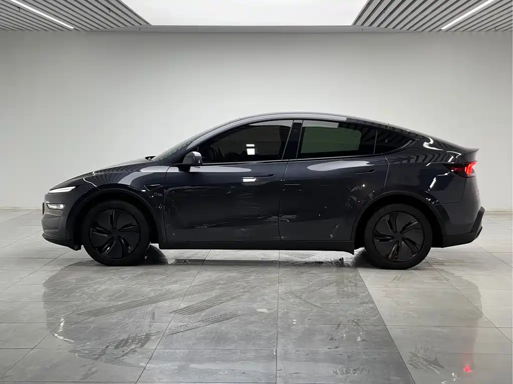 Tesla Model Y — миниатюра 7