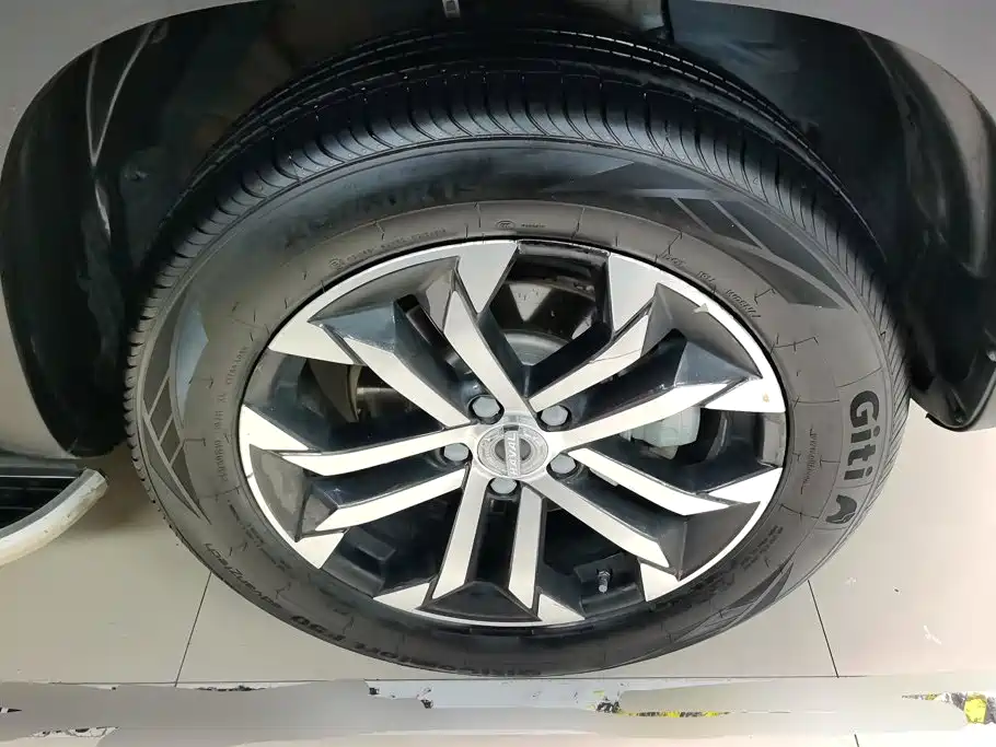Haval Big Dog — миниатюра 6
