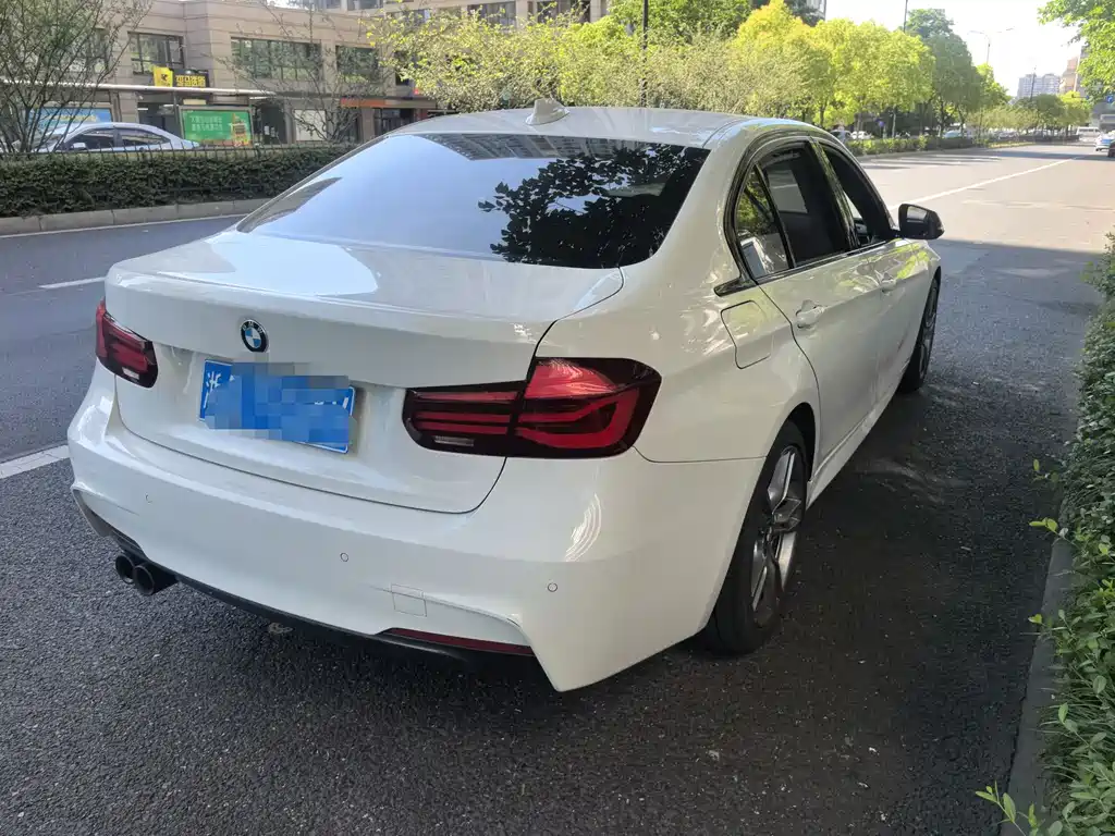 BMW 3 Series 3 2019 320Li M Sport