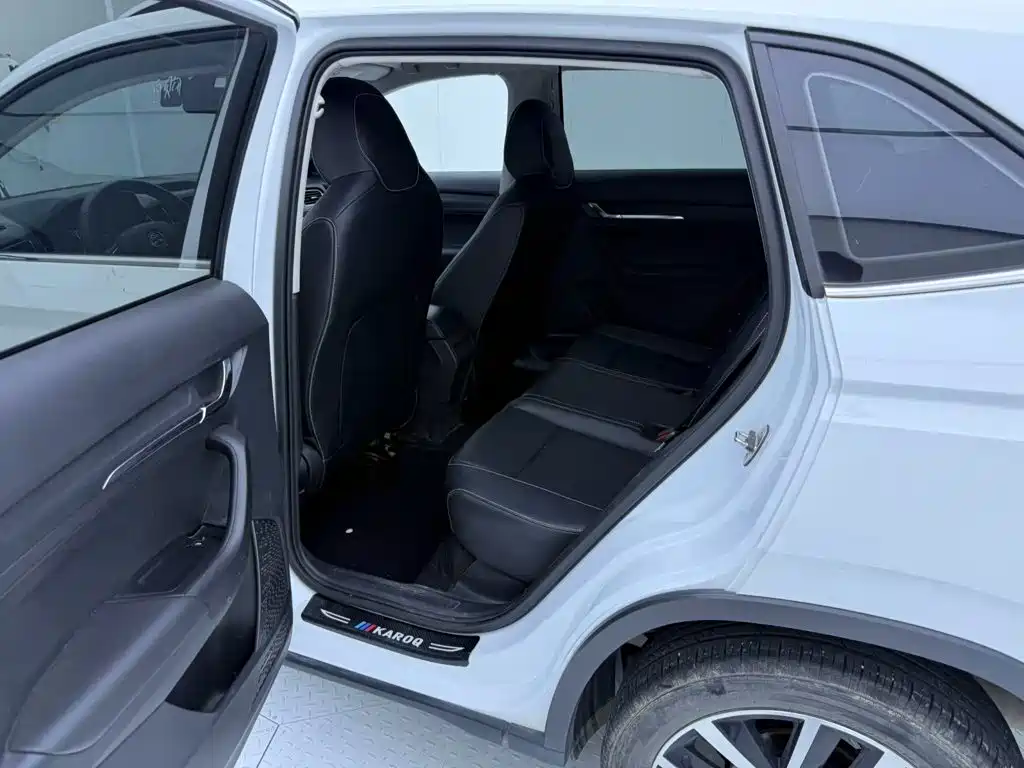 Skoda Kamiq — миниатюра 9