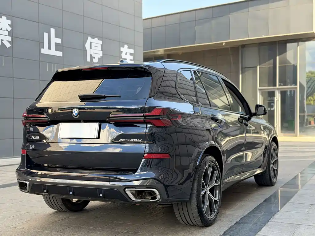 BMW X5 — миниатюра 8