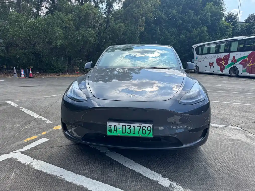Tesla Model Y — миниатюра 2
