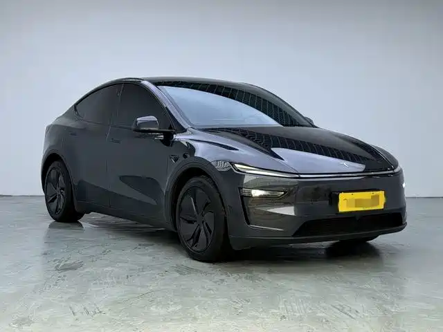 Tesla Model Y — миниатюра 3