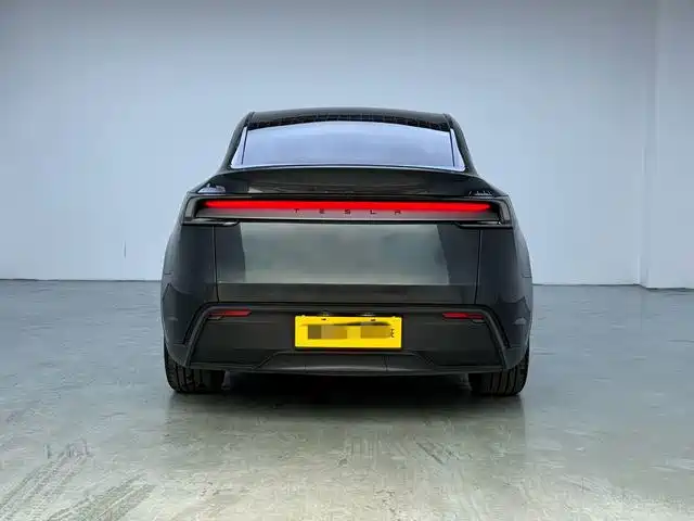 Tesla Model Y — миниатюра 5
