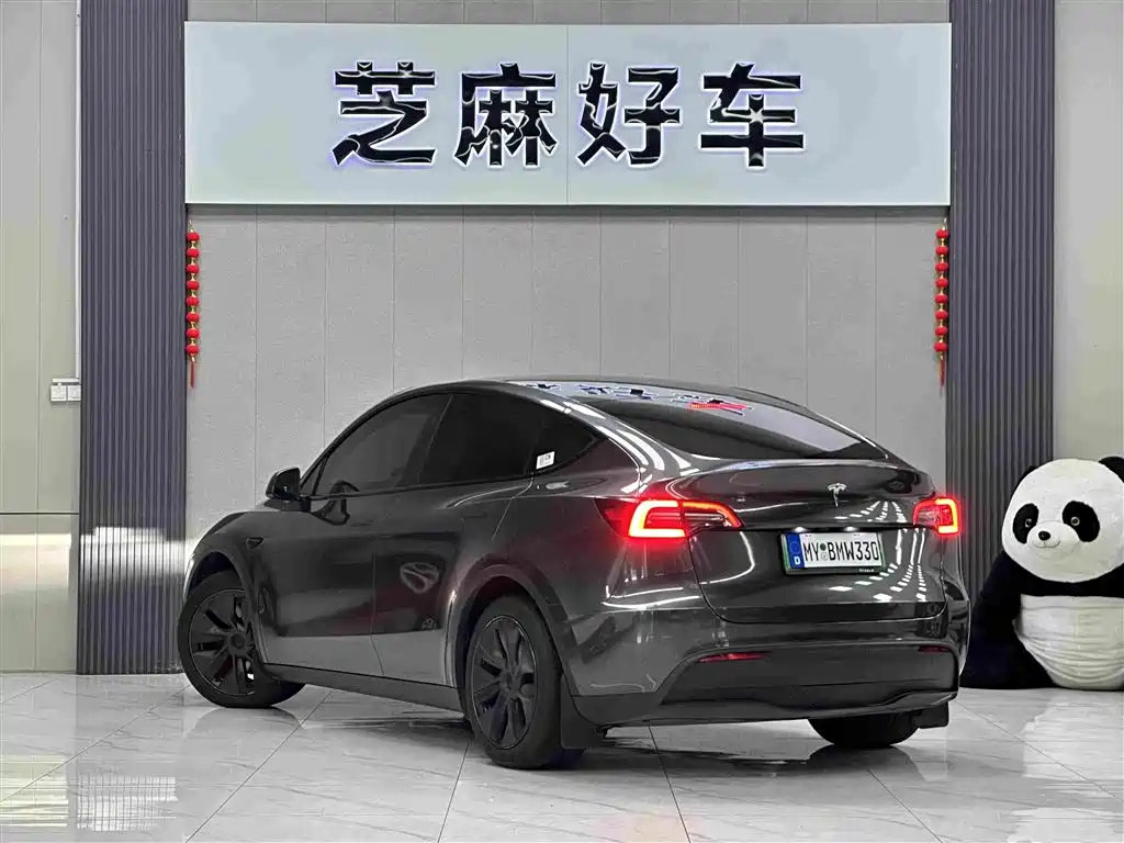 Tesla Model Y — миниатюра 4