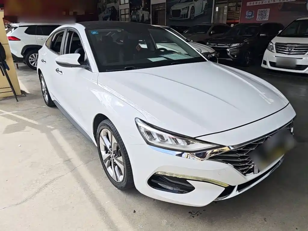 Hyundai Fista — миниатюра 4