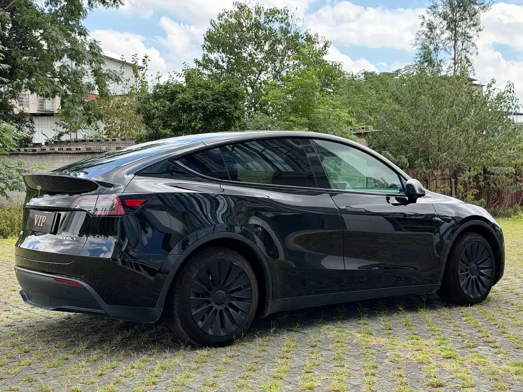 Tesla Model Y — миниатюра 4