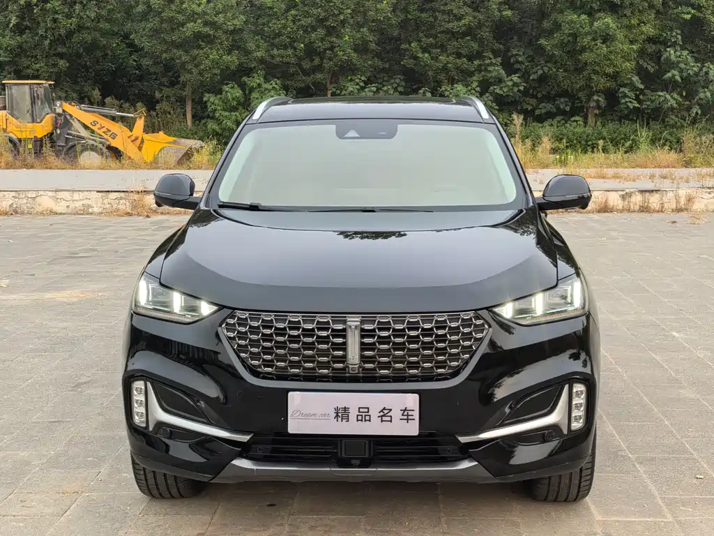 Wey Wey VV6 — миниатюра 2