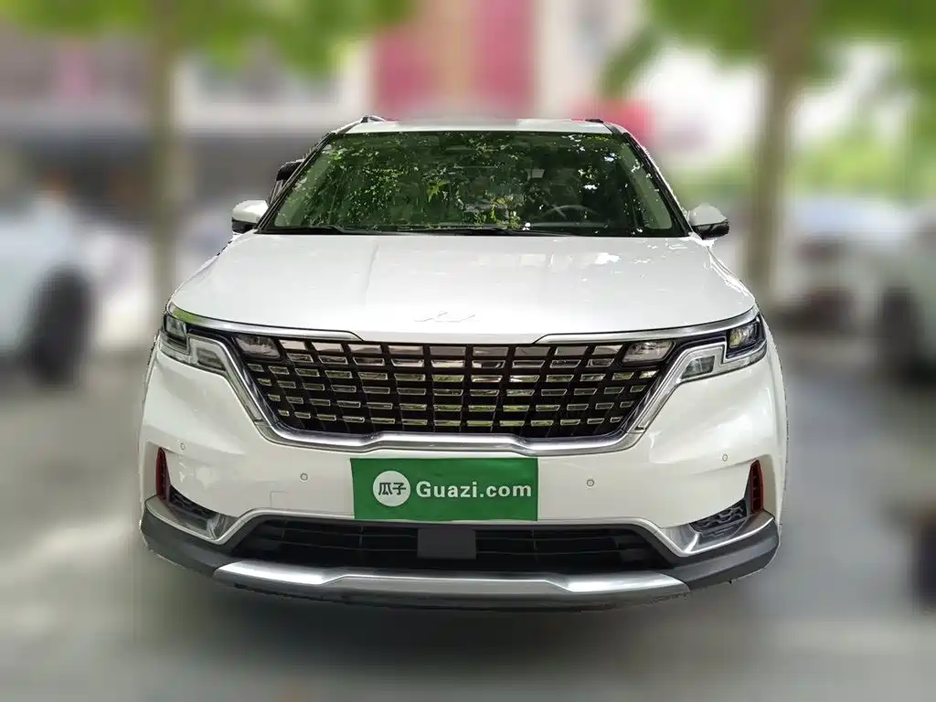 Kia Carnival — миниатюра 23