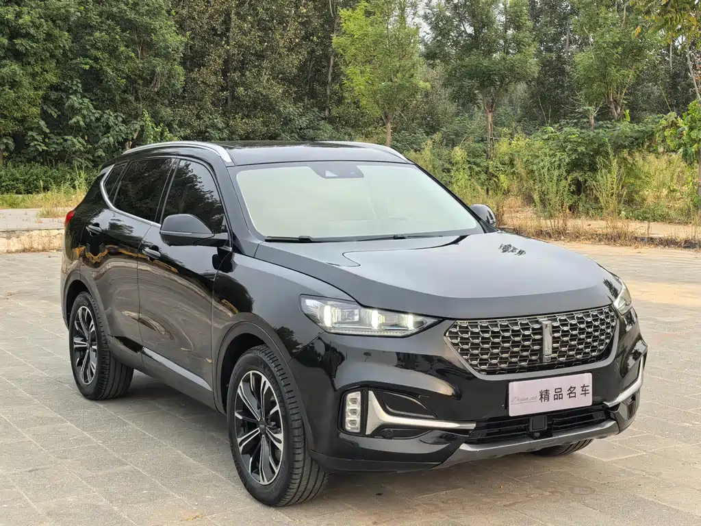 Wey Wey VV6 — миниатюра 3
