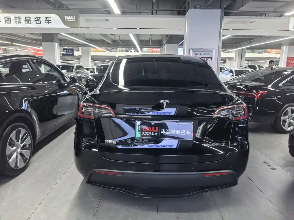 Tesla Model Y — миниатюра 11