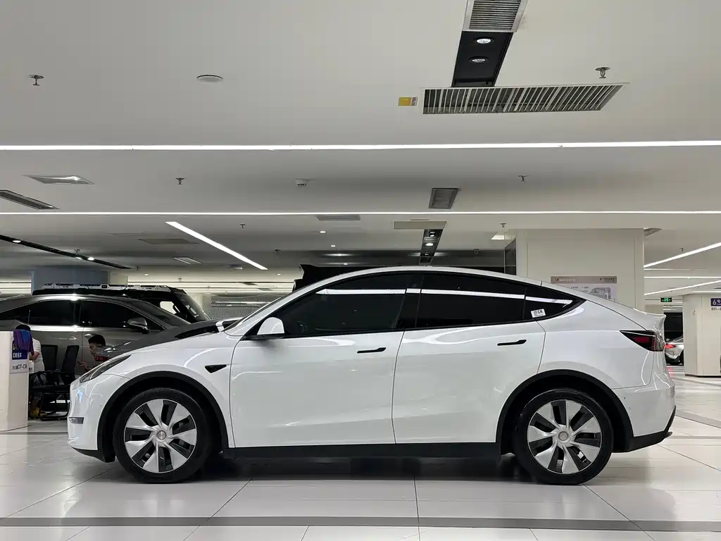 Tesla Model Y — миниатюра 4