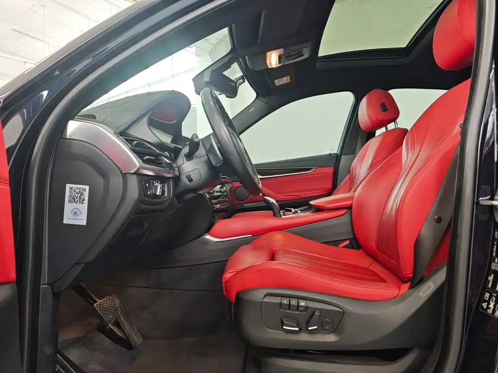 BMW X6 — миниатюра 20