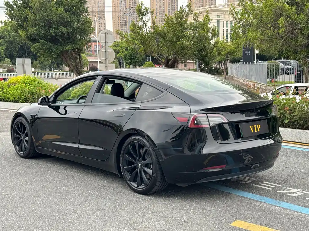 Tesla Model 3 — миниатюра 5