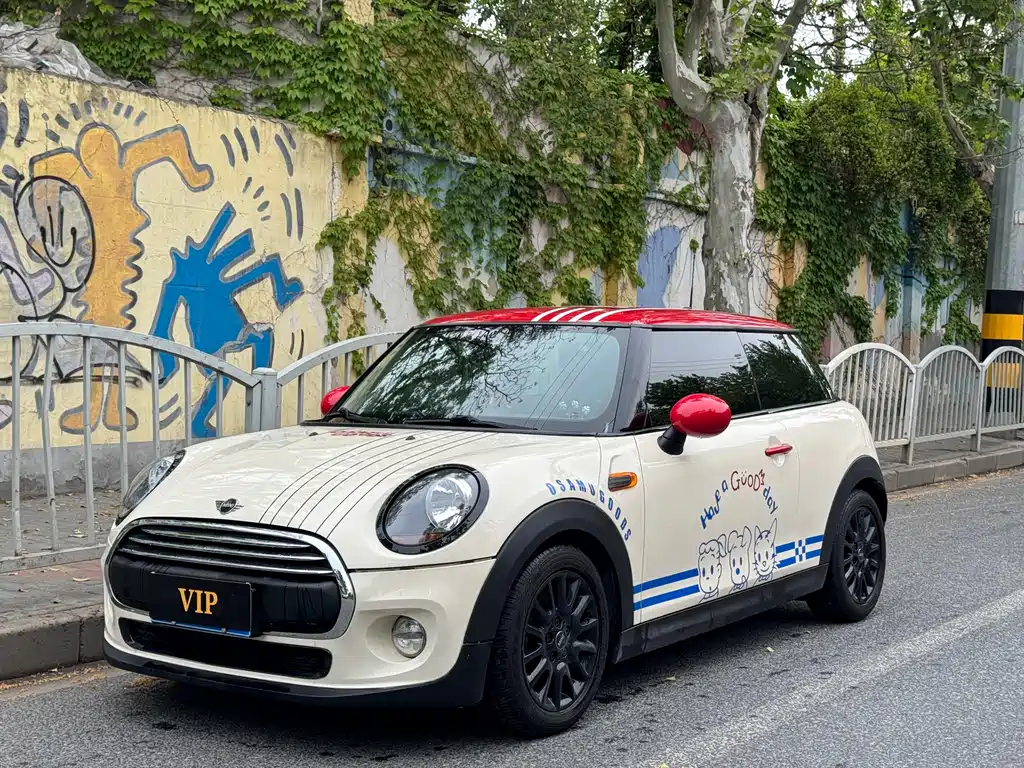 Mini Mini 2018