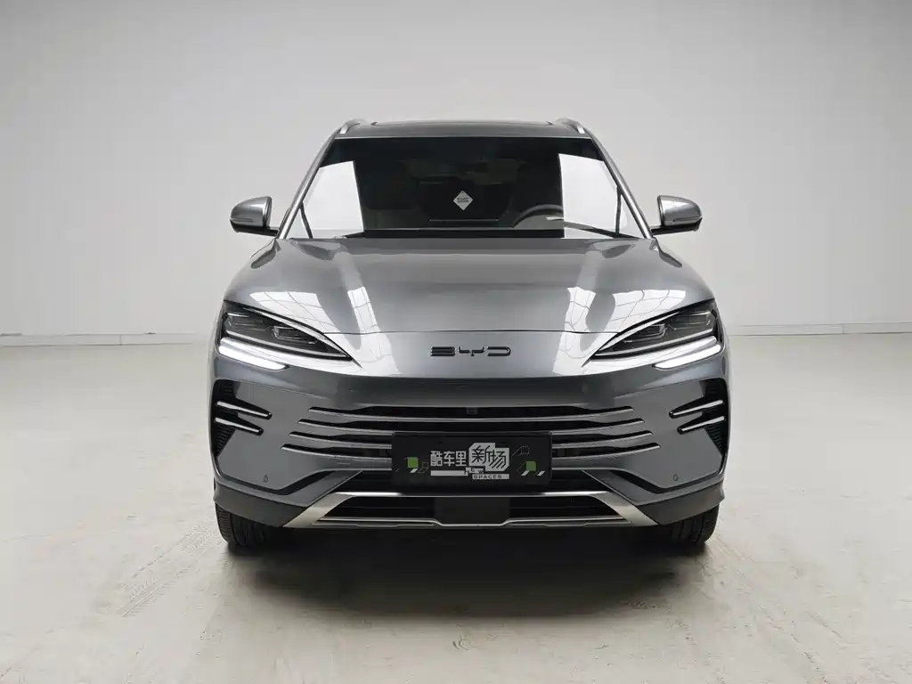 BYD PLUS New Energy — миниатюра 2