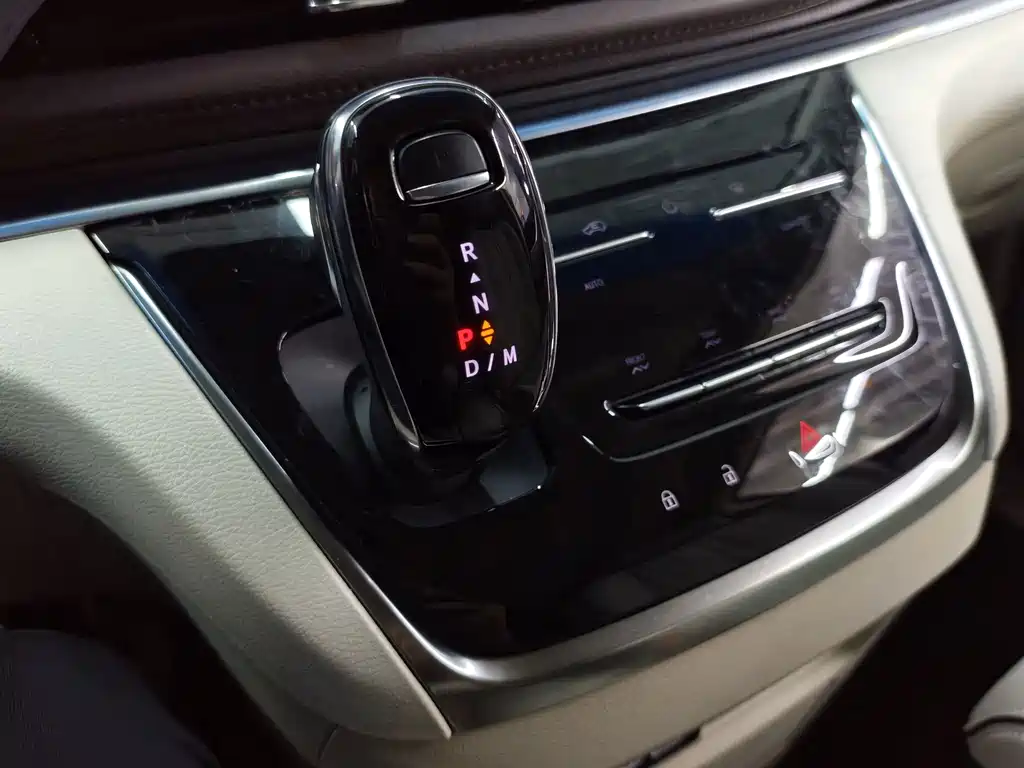 Buick GL8 — миниатюра 12