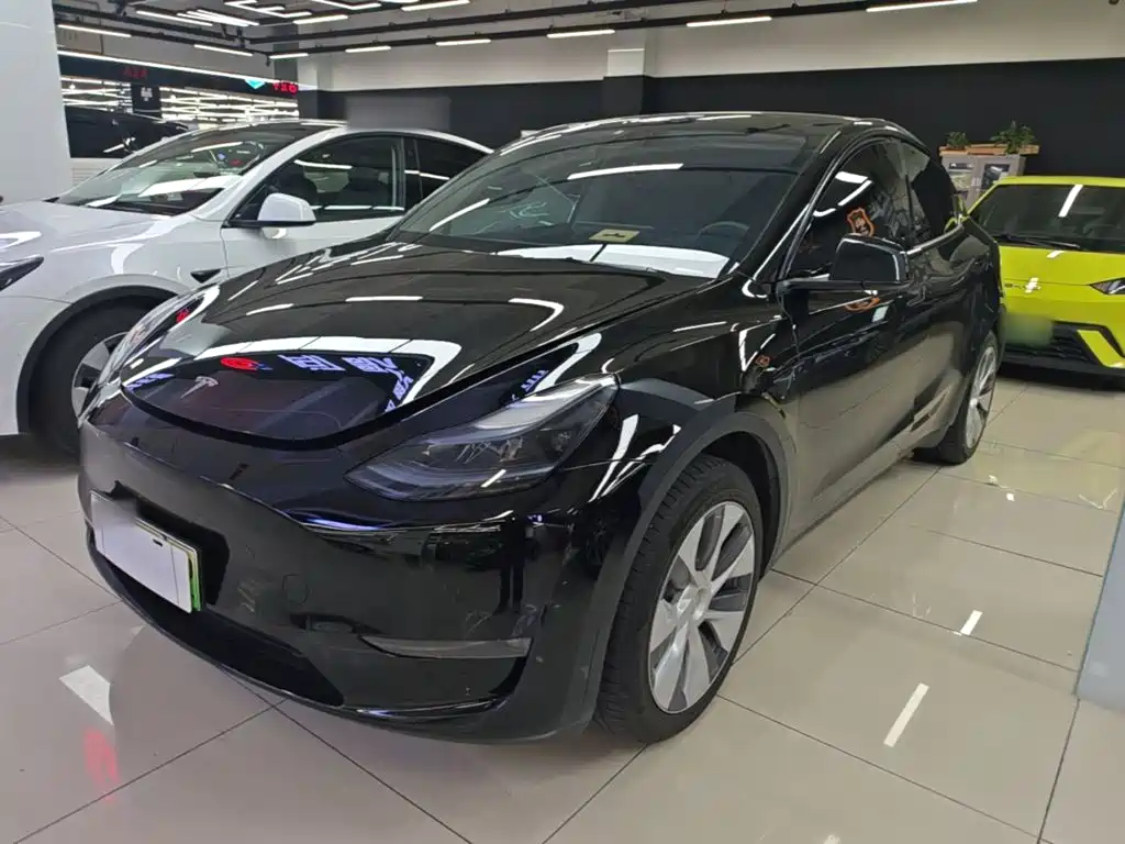 Tesla Model Y — миниатюра 2