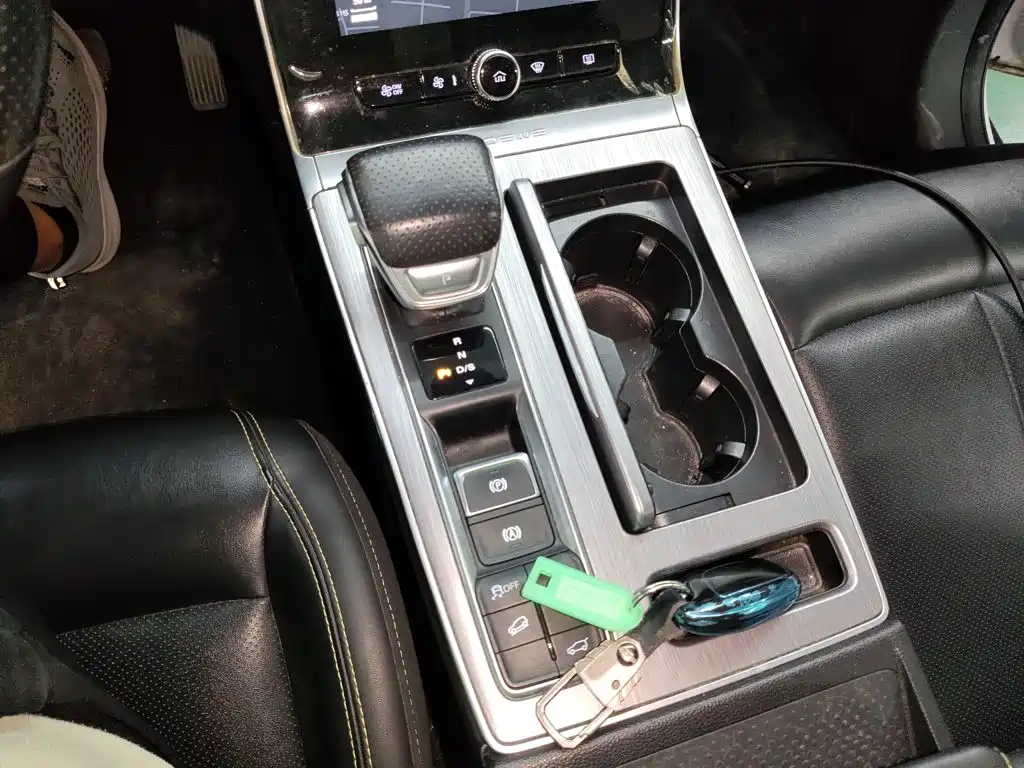 Roewe RX5 2021 PLUS 300TGI AT Ali Flagship