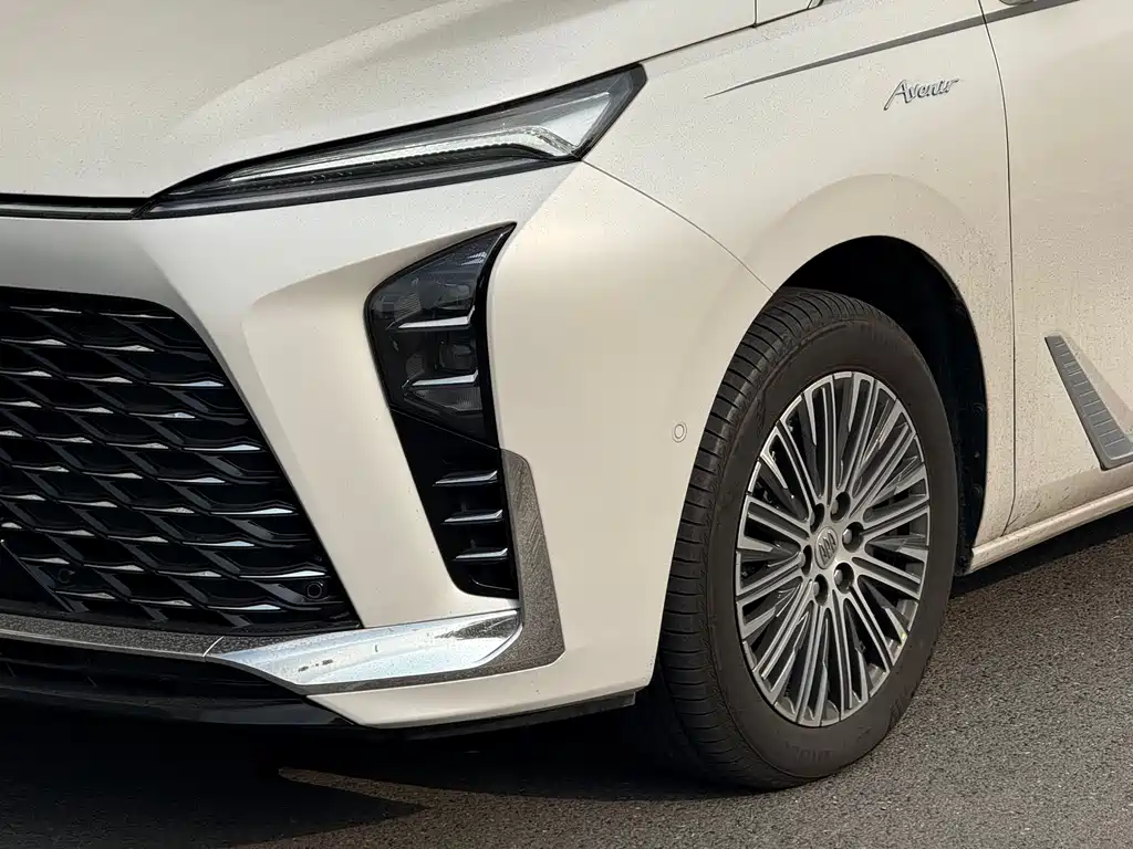 BUICK GL8 NEW ENERGY