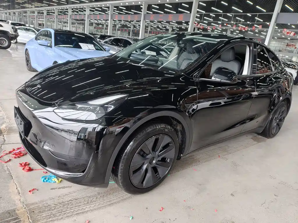 Tesla Model Y — миниатюра 7
