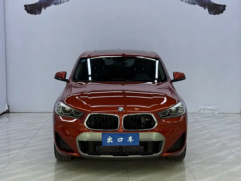 BMW X2 — миниатюра 2