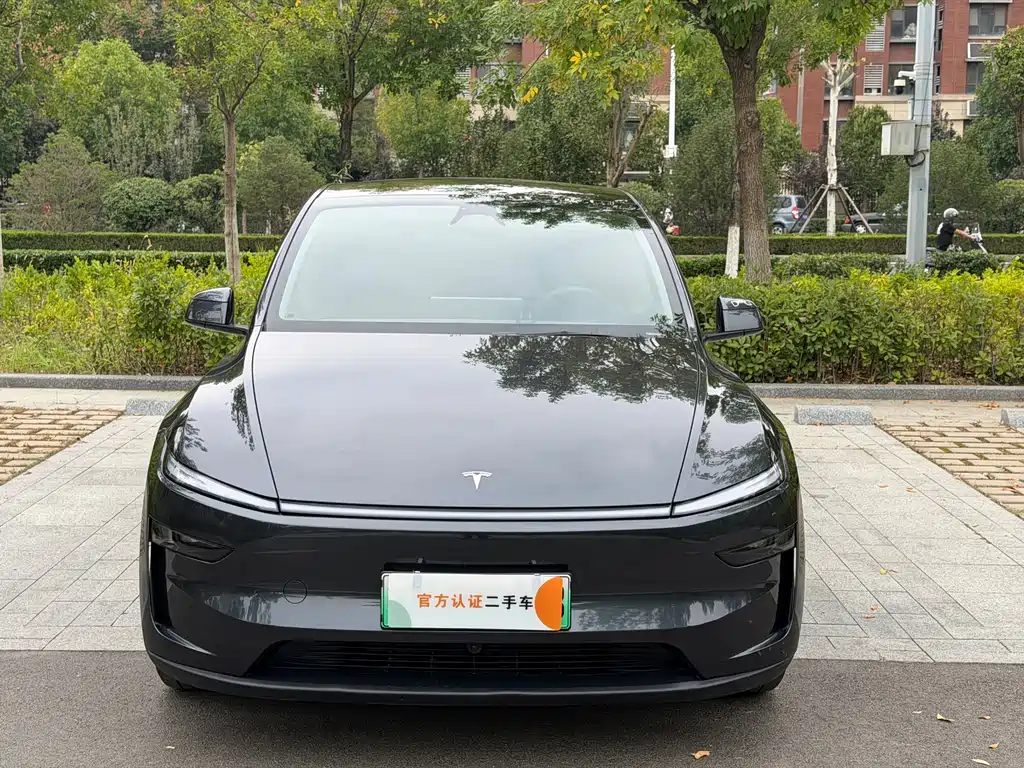 Tesla Model Y — миниатюра 2