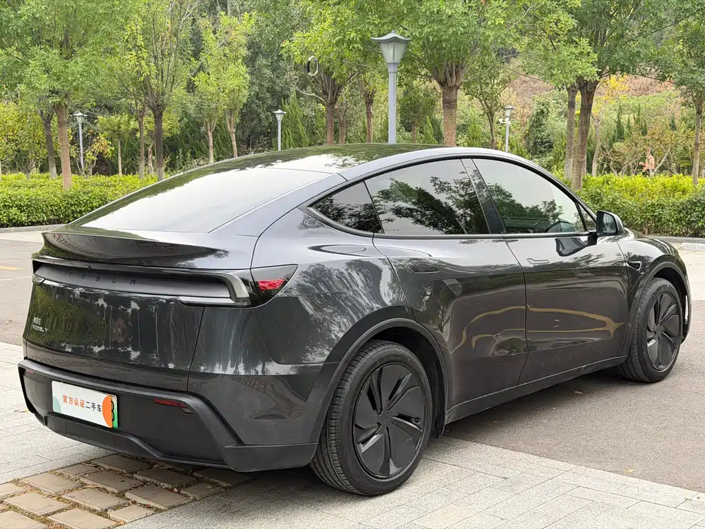 Tesla Model Y — миниатюра 6