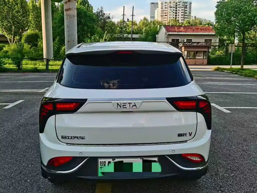 Neta Neta V — миниатюра 8