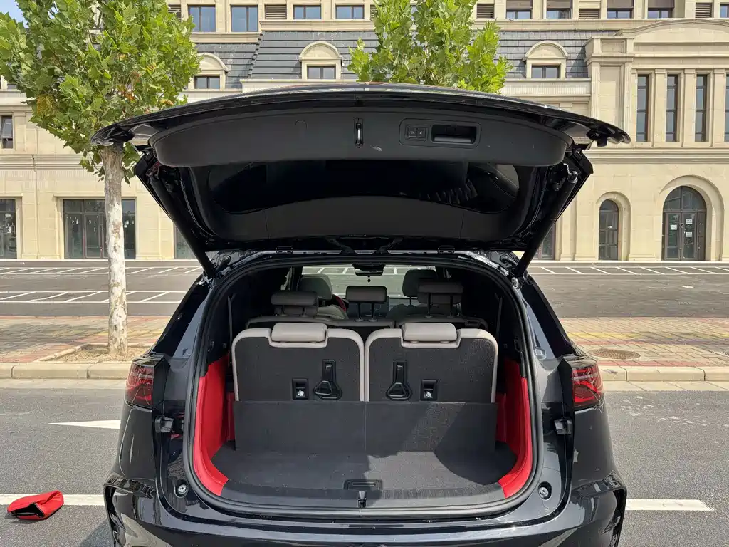 BYD Tang New Energy — миниатюра 14