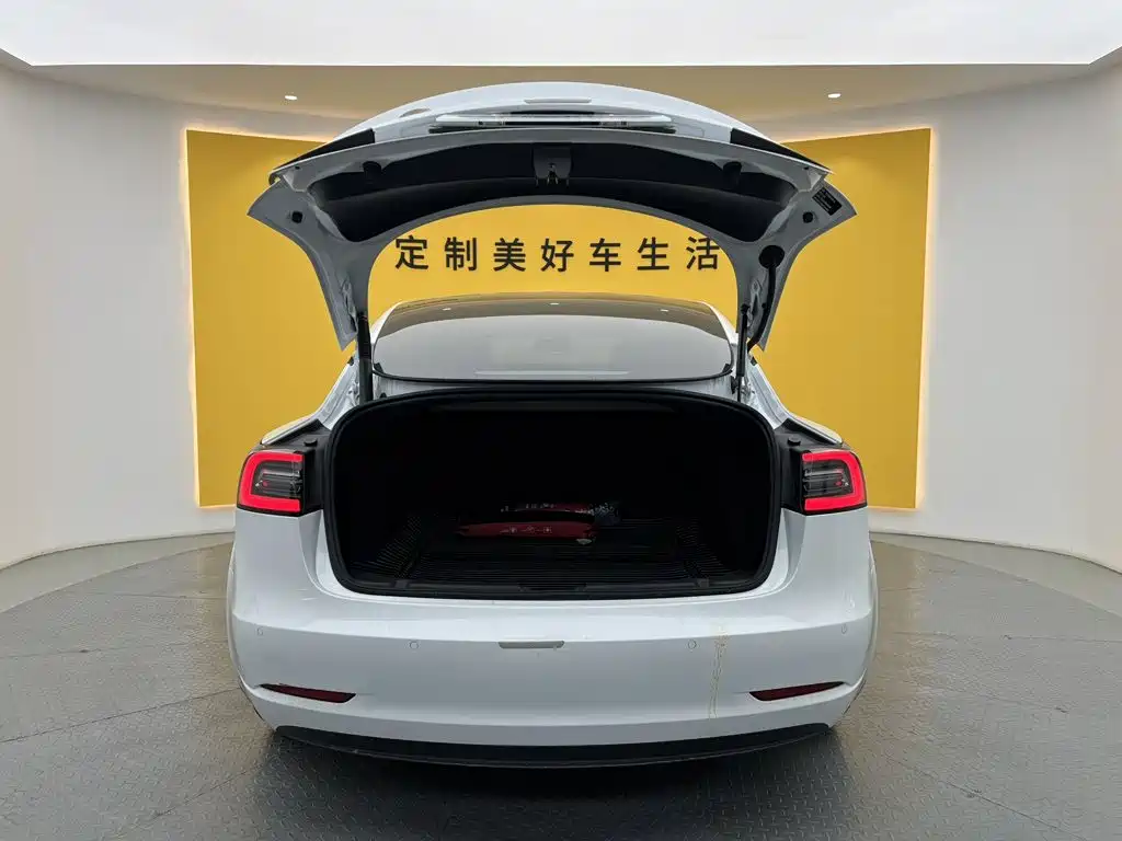 Tesla Model 3 — миниатюра 7