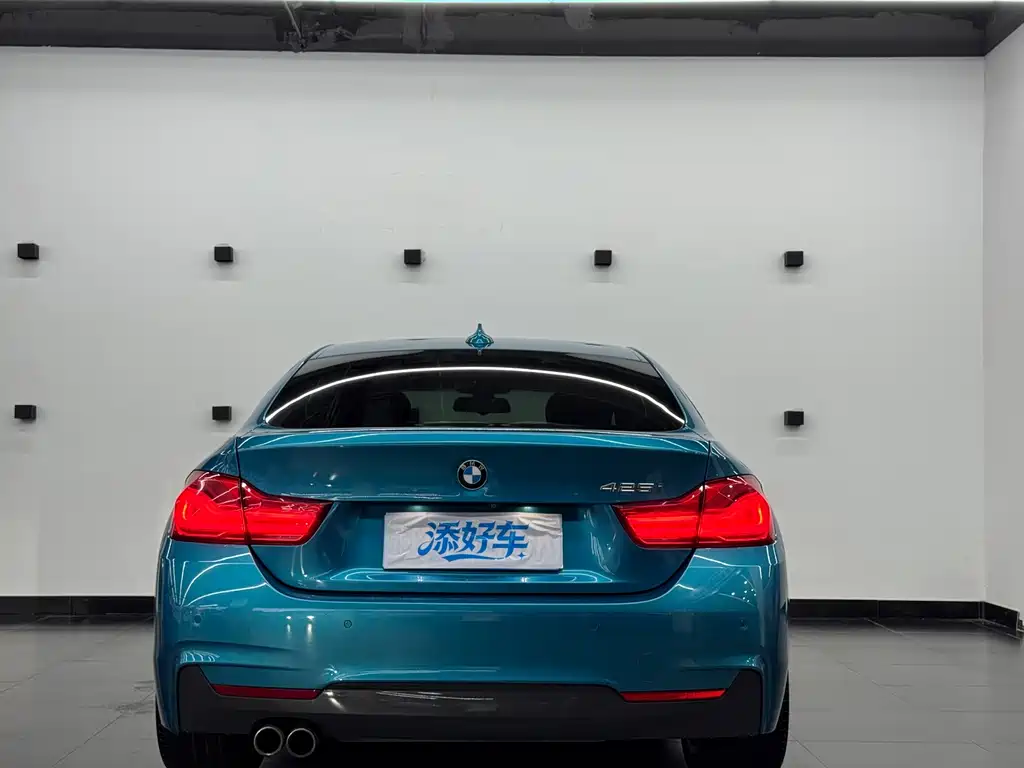 BMW 4 Series 425i Gran Coupe Leading Type M Sport Package, фото 14