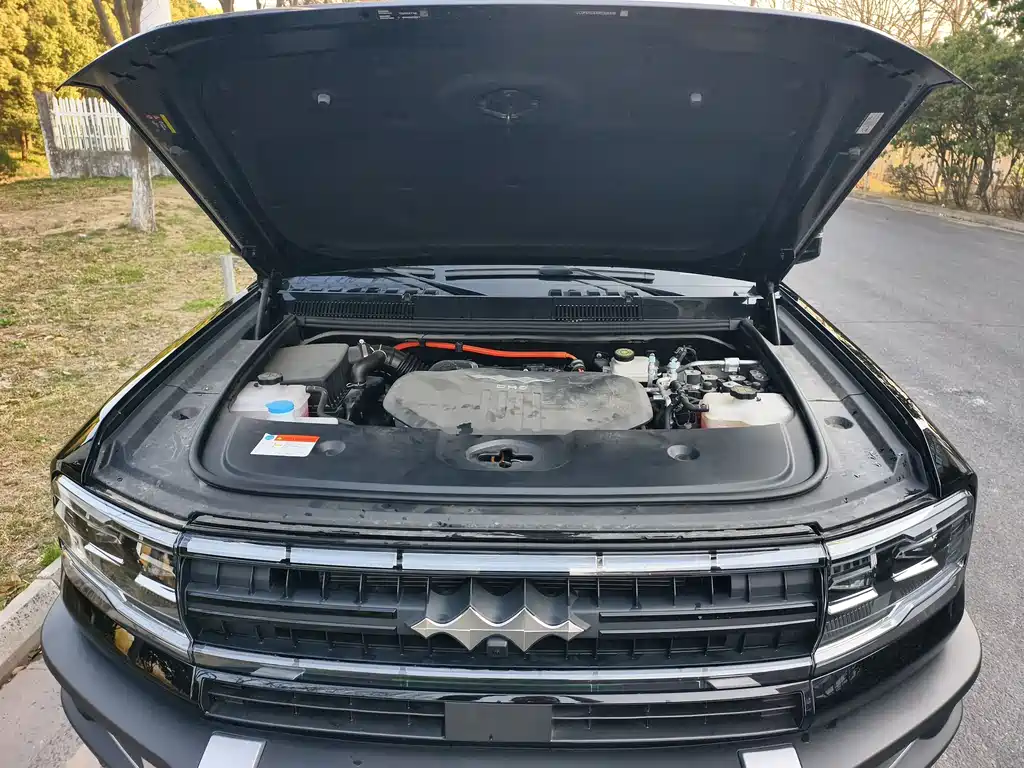 FANG CHENG BAO LEOPARD 5