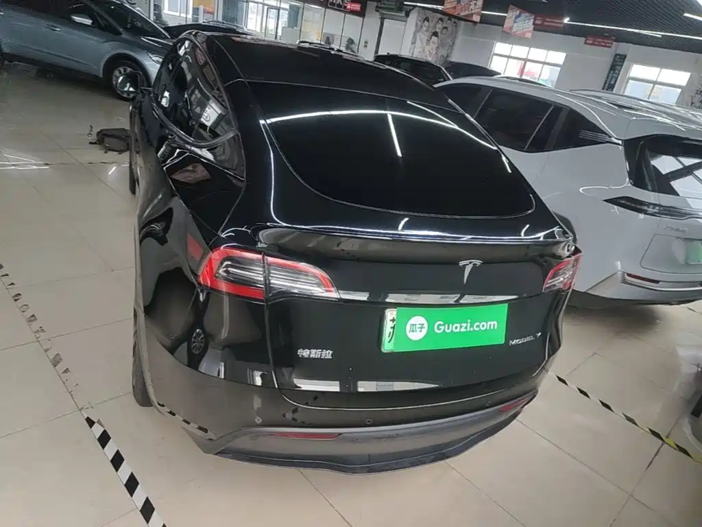 Tesla Model Y — миниатюра 6