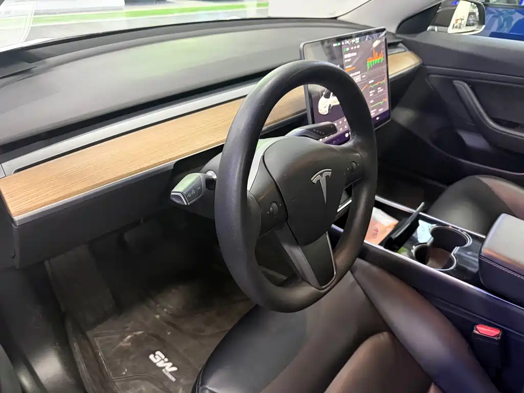 Tesla Model 3 — миниатюра 6